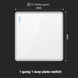 1 gang switch