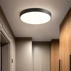Simple Modern Ceiling Light Lumenem