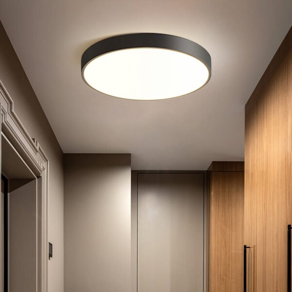 Simple Modern Ceiling Light Lumenem